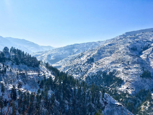 15 Best honeymoon places in India in winter