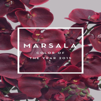 Marsala Look for Women By A Kosha