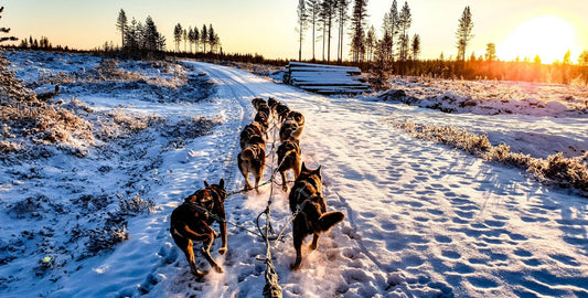 Winter In Finland: Dressing For Extreme Cold And Snow