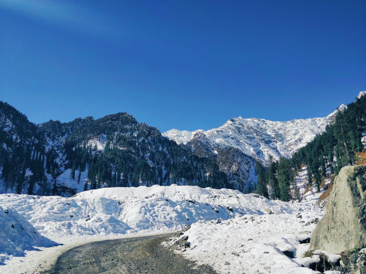 12 Amazingly Best Winter Treks in India