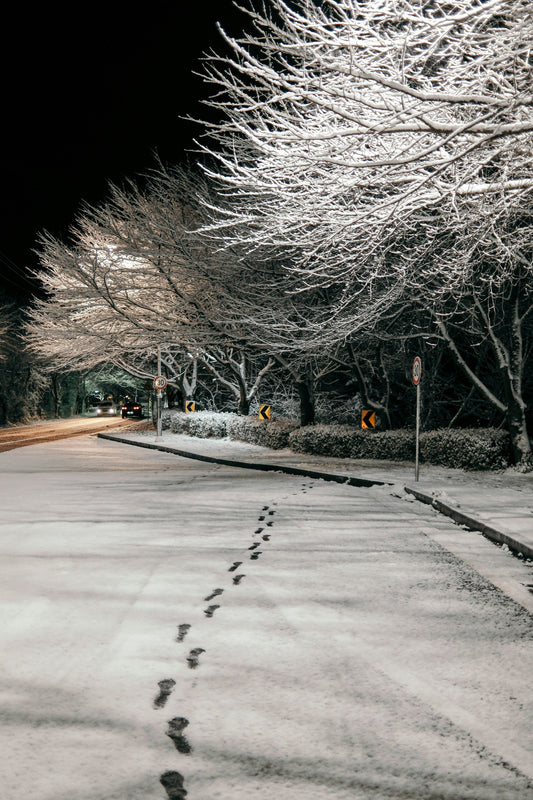 Snow-covered road with car and winter trees at night