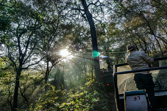 Your Ultimate Guide to Winter Safari Clothing in India’s Wild