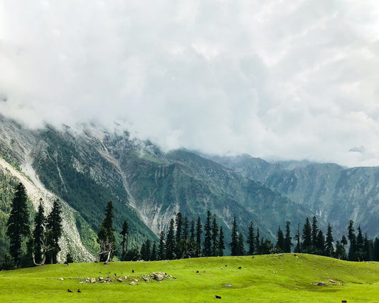 Textiles and Embroidery of Kashmir