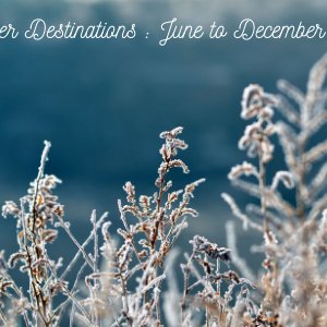 Winter Destinations: June To December