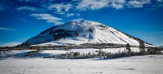 Packing List for Yellowstone National Park Tour: Essentials for Touring and Traveling