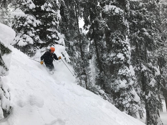 Dashing Through The Snow: Skiing in Gulmarg