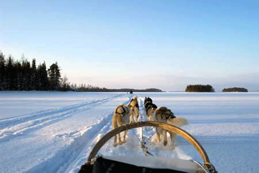 On a Husky Trail Through Finland With Manish