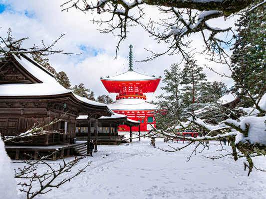 Japan In Winter: Essential Travel Tips And What To Wear
