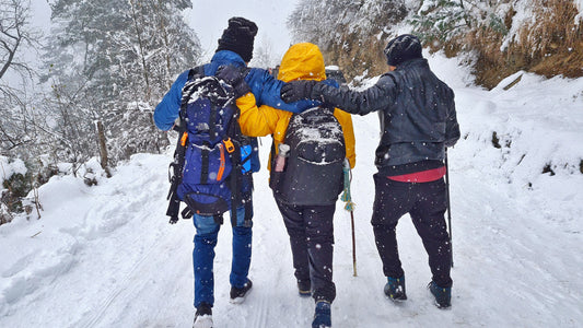 Back view of friends walking together in snow Photo by Sunny Jat