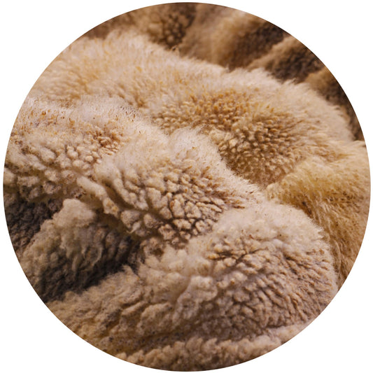 A picture of soft merino wool.