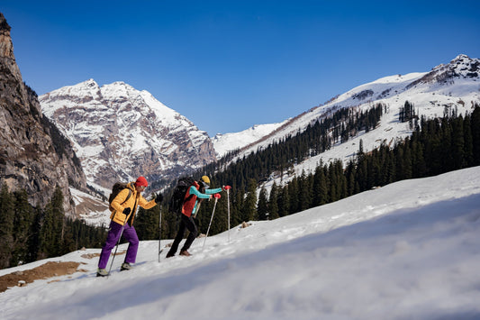 Two trekkers wearing winter gear and backpacks hiking through snow-covered terrain with trekking poles, surrounded by pine trees and mountains in the background
