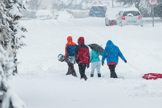 four kids in snow