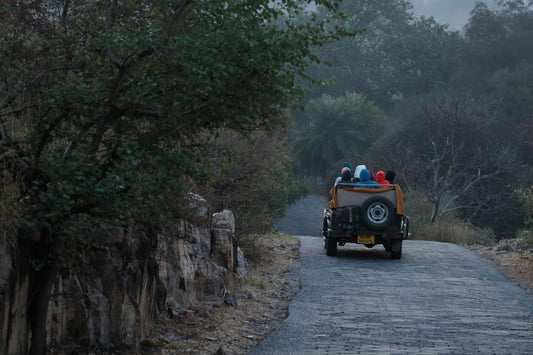 Travel Tips for the GlobeTrotter By A Kosha